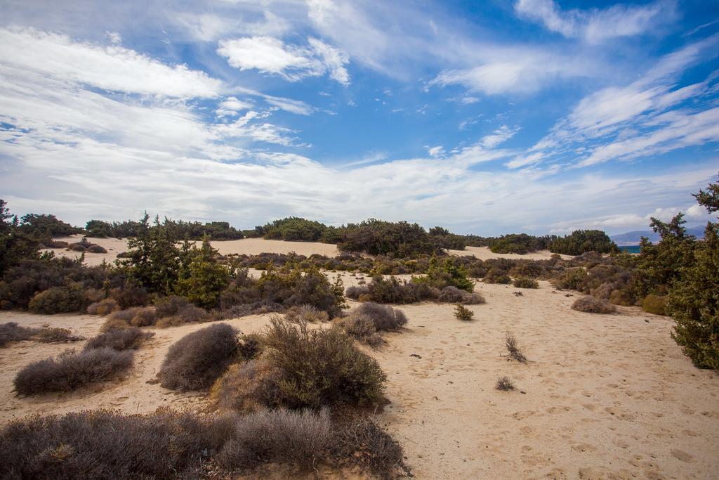 Villa Alyko Aliko Beach Dış mekan fotoğraf