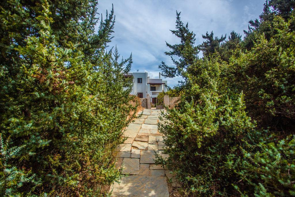 Villa Alyko Aliko Beach Dış mekan fotoğraf