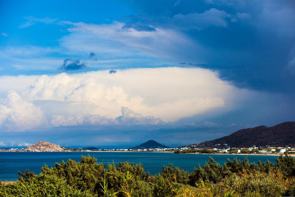 Villa Alyko Aliko Beach Dış mekan fotoğraf