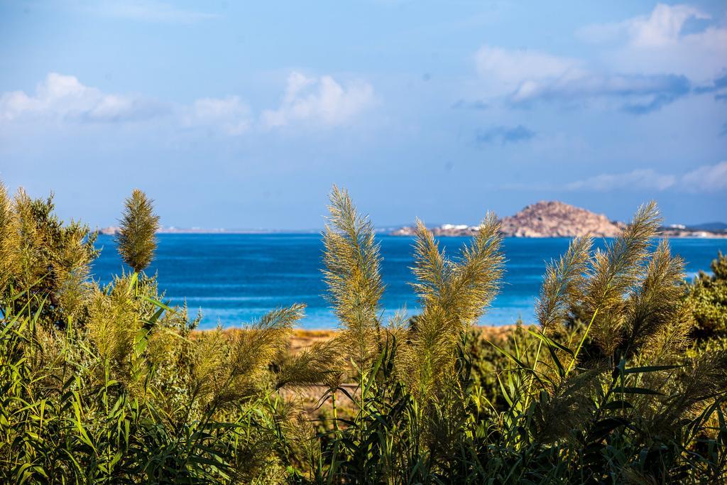Villa Alyko Aliko Beach Dış mekan fotoğraf