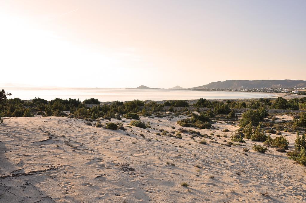 Villa Alyko Aliko Beach Dış mekan fotoğraf